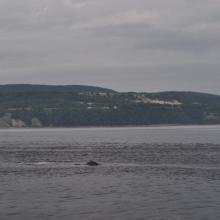 Canada2017_0258__DSC_0273