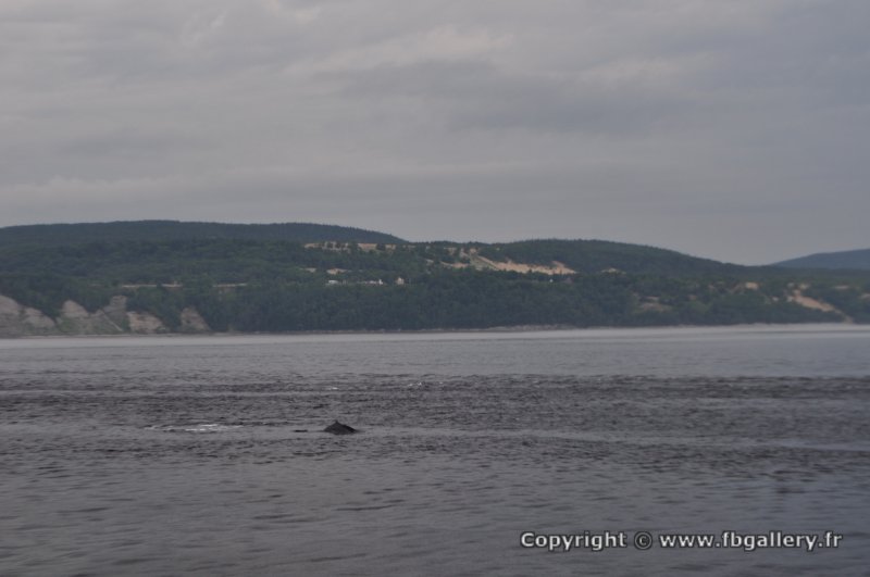 Canada2017_0258__DSC_0273