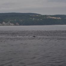 Canada2017_0259__DSC_0274