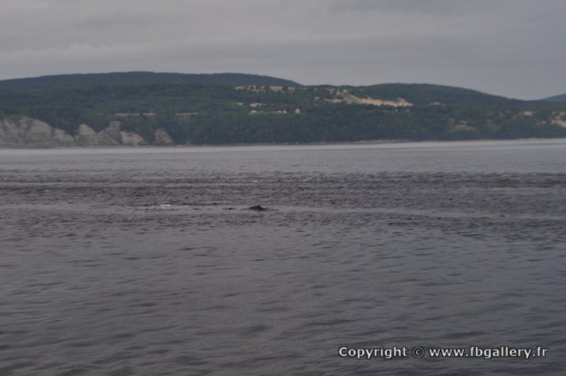 Canada2017_0259__DSC_0274