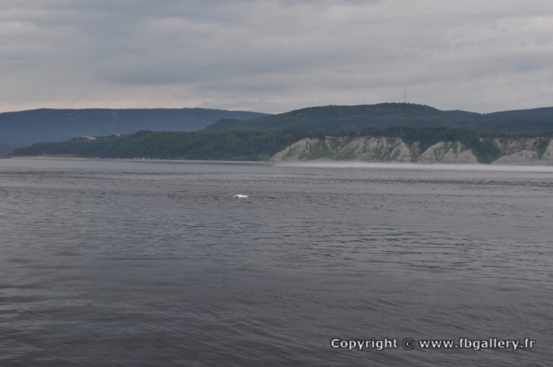 Canada2017_0274__DSC_0290