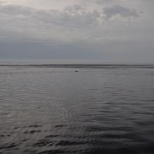 Canada2017_0276__DSC_0293