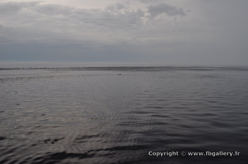 Canada2017_0277__DSC_0294