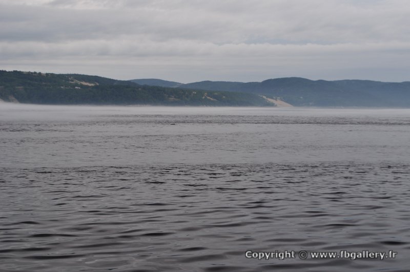 Canada2017_0278__DSC_0296