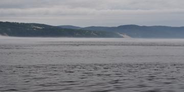 06-Croisiere_baleines