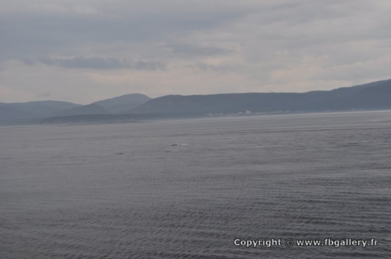 Canada2017_0289__DSC_0313