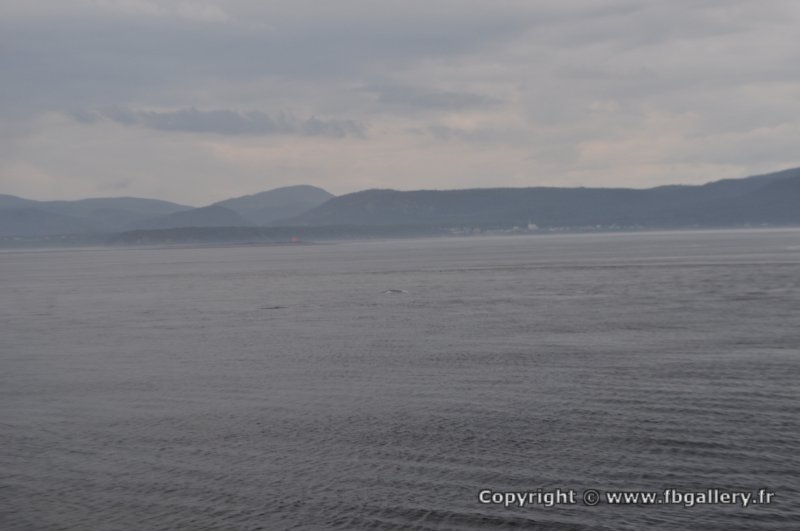 Canada2017_0290__DSC_0314