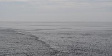 06-Croisiere_baleines