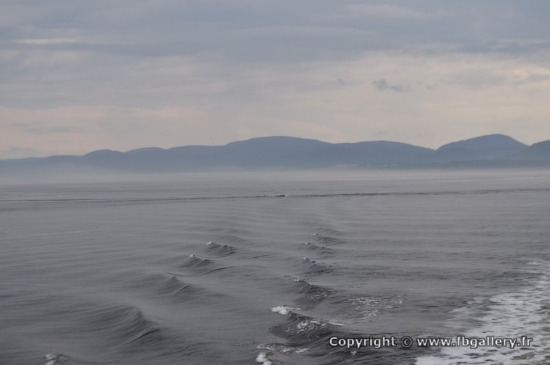 Canada2017_0299__DSC_0324