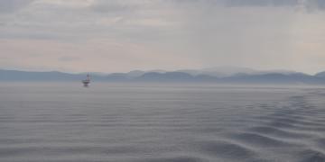 06-Croisiere_baleines