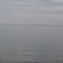 Canada2017_0320__DSC_0346