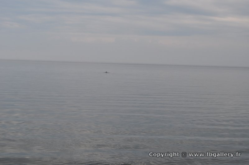 Canada2017_0321__DSC_0347