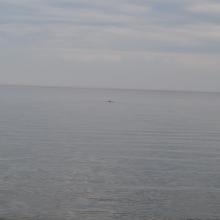 Canada2017_0322__DSC_0348