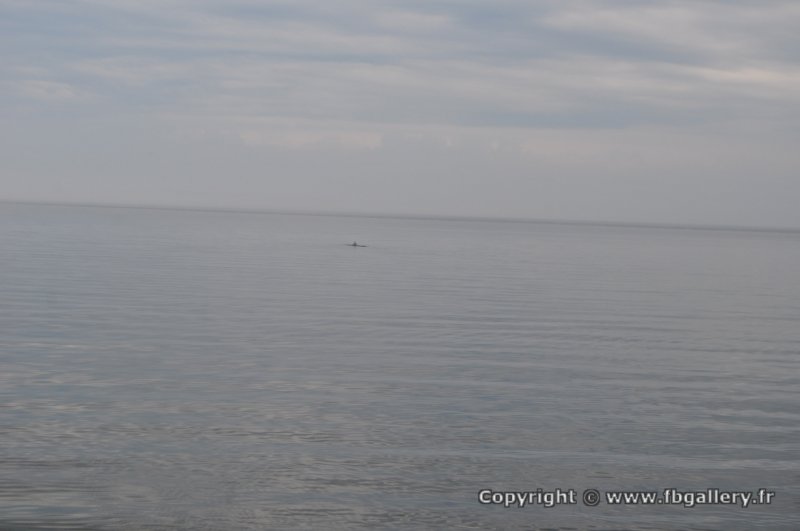 Canada2017_0322__DSC_0348