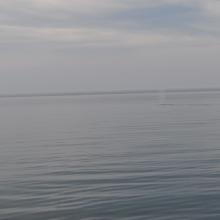 Canada2017_0330__DSC_0357