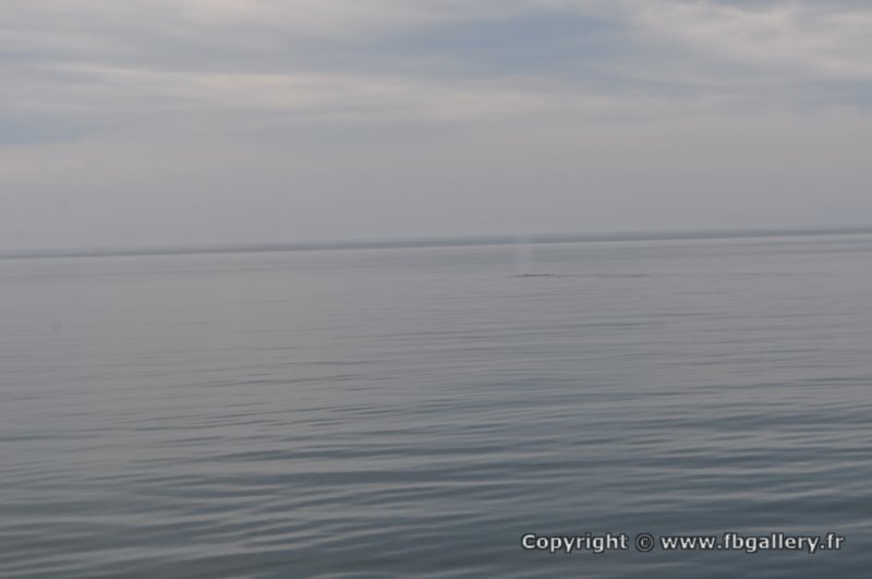 Canada2017_0330__DSC_0357