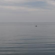 Canada2017_0333__DSC_0360