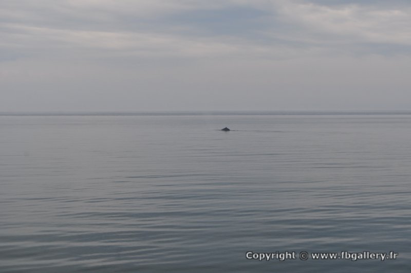 Canada2017_0333__DSC_0360