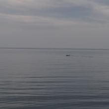 Canada2017_0337__DSC_0364