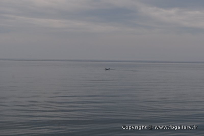 Canada2017_0337__DSC_0364