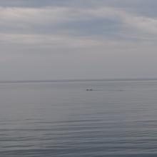 Canada2017_0338__DSC_0365