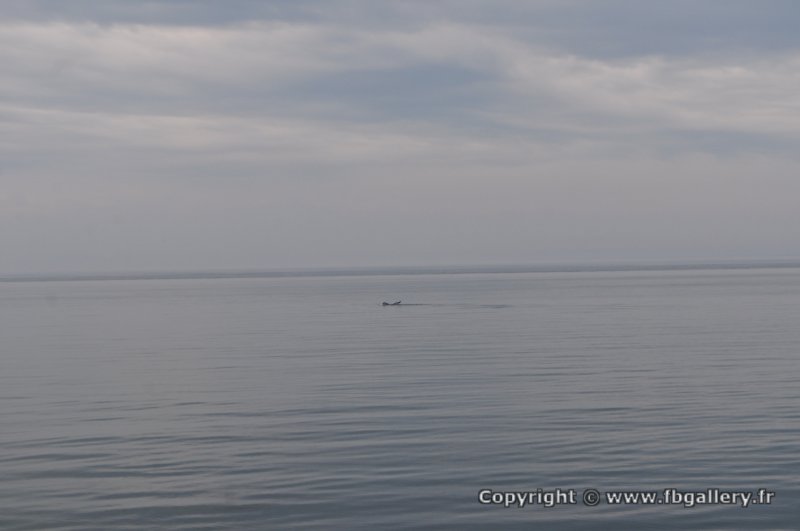 Canada2017_0338__DSC_0365