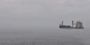 06-Croisiere_baleines