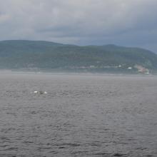 Canada2017_0387__DSC_0417