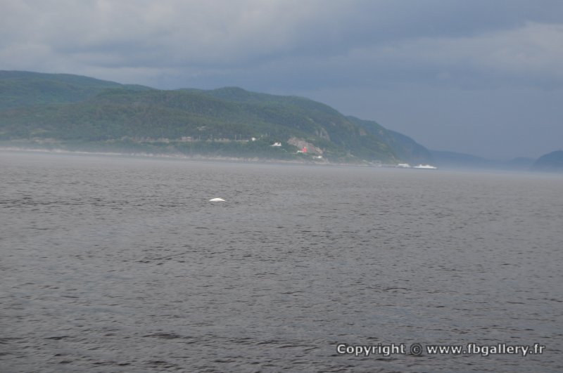 Canada2017_0389__DSC_0419