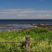 Canada2017_0560__DSC_0592