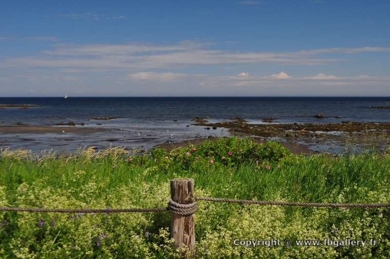 Canada2017_0560__DSC_0592