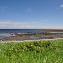Canada2017_0561__DSC_0593