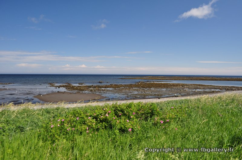 Canada2017_0561__DSC_0593