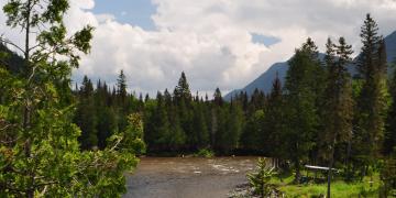 09-Parc_nationnal_gaspesie