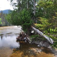 Canada2017_0454__DSC_0484