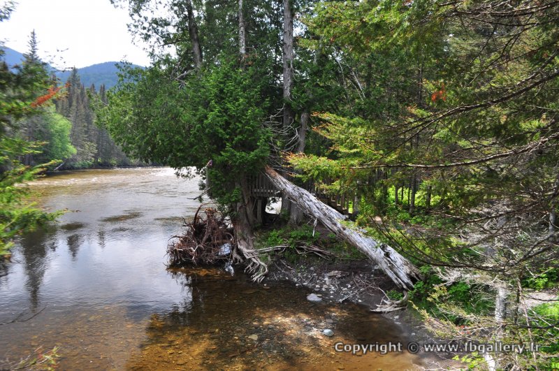 Canada2017_0454__DSC_0484