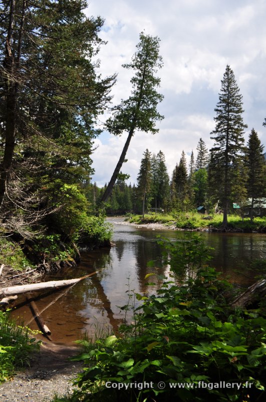 Canada2017_0457__DSC_0487