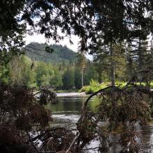 Canada2017_0461__DSC_0491