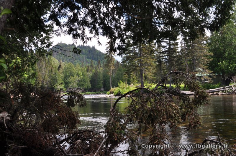 Canada2017_0461__DSC_0491
