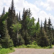 Canada2017_0462__DSC_0492