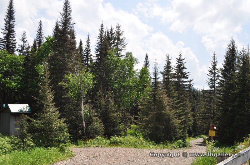 Canada2017_0462__DSC_0492
