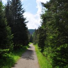 Canada2017_0463__DSC_0493