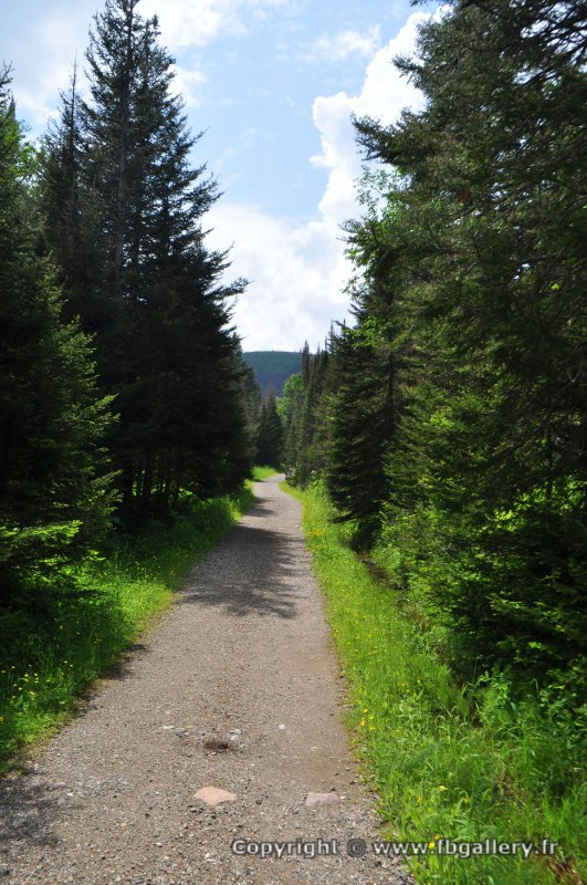 Canada2017_0463__DSC_0493