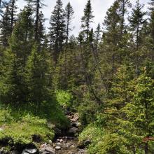 Canada2017_0465__DSC_0495