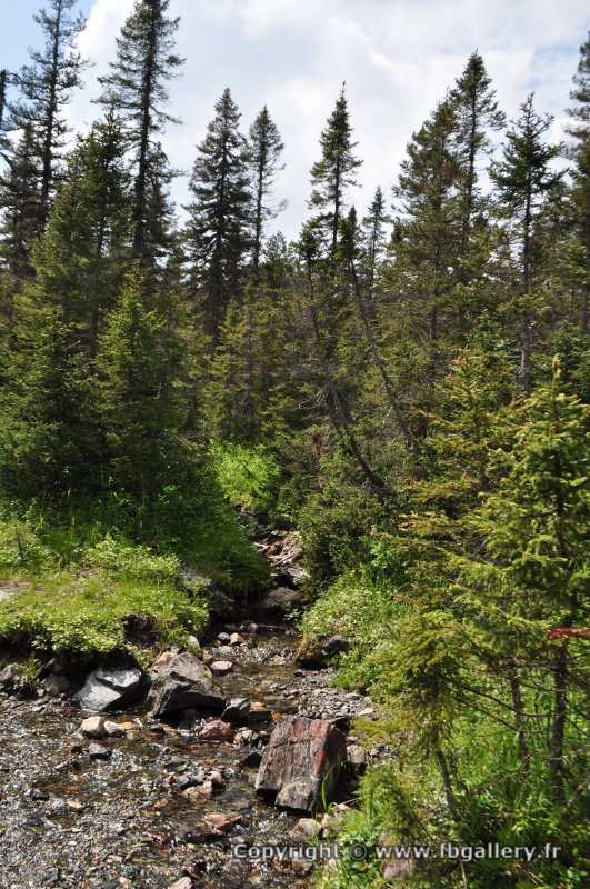 Canada2017_0465__DSC_0495