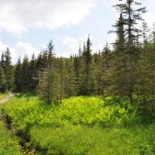 Canada2017_0466__DSC_0496