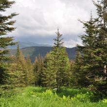 Canada2017_0467__DSC_0497