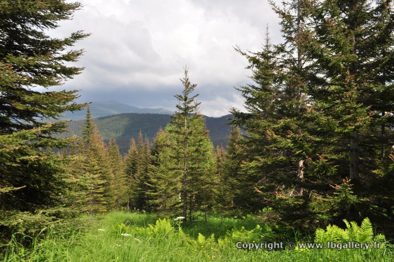 Canada2017_0467__DSC_0497