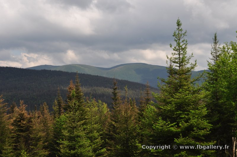 Canada2017_0468__DSC_0499