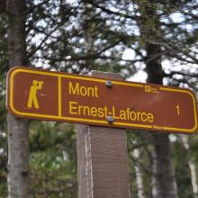 Canada2017_0470__DSC_0501